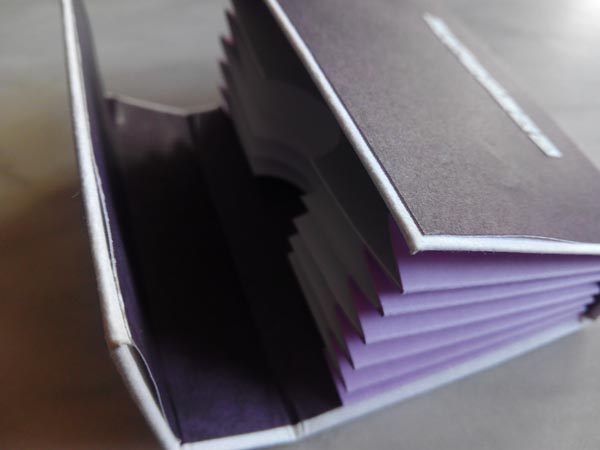 Tarjetero Scrapiluca 12